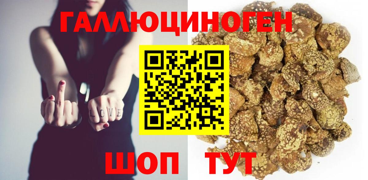 Азнакаево  Галлюциногенные грибы прущие грибы  Вход с VPN 
