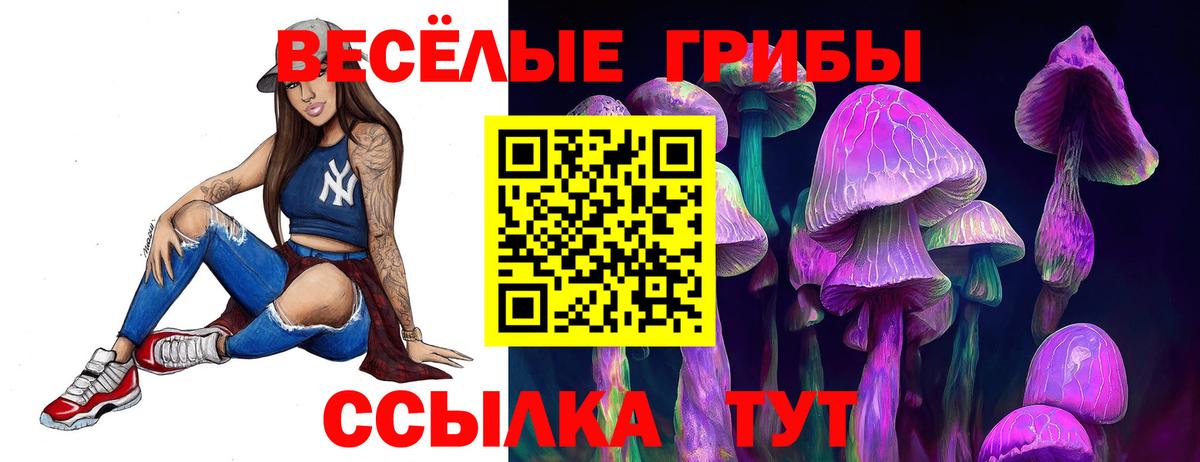 Псилоцибиновые грибы мухоморы Азнакаево